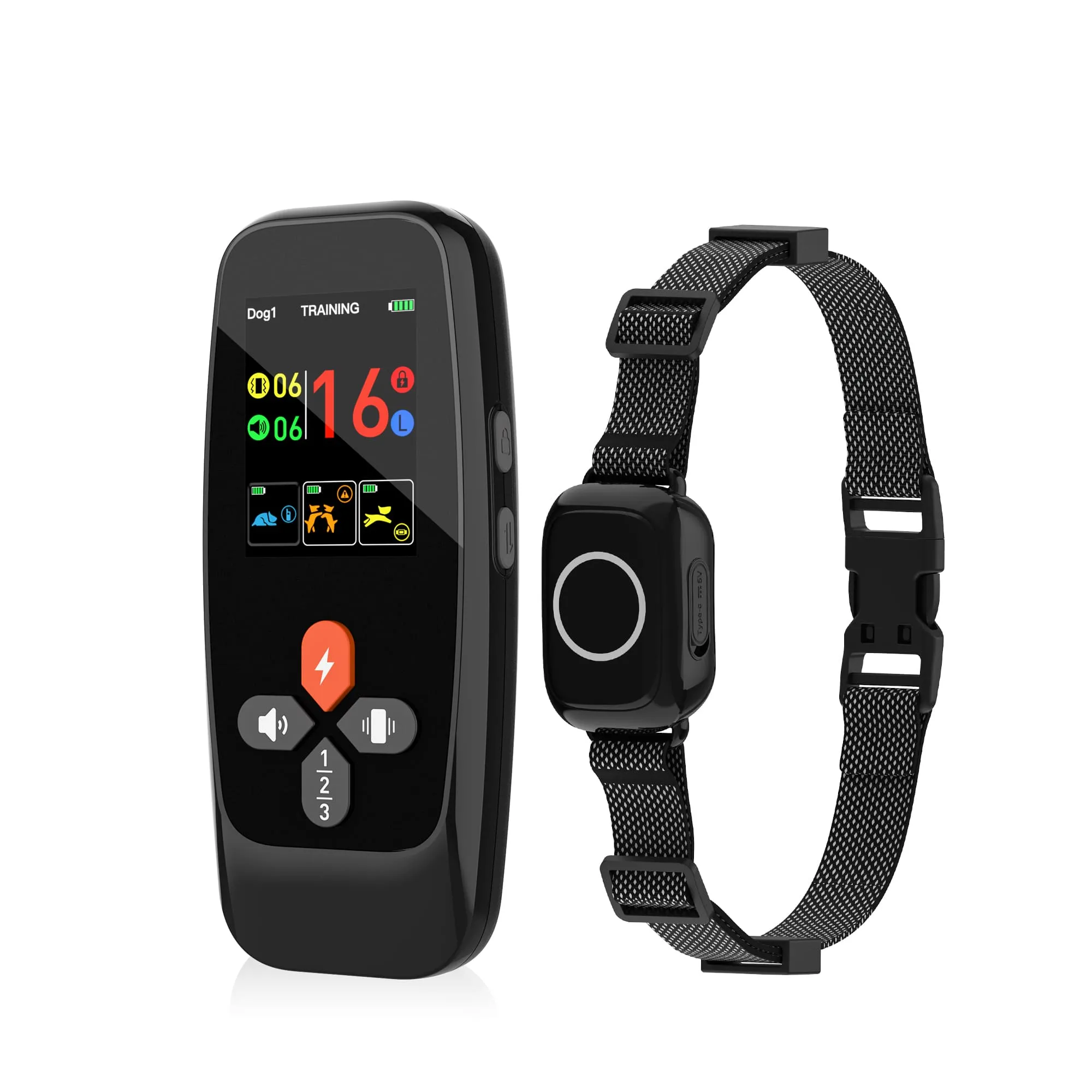 Remote Trainer