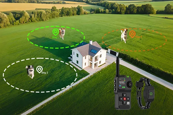 GPS Dog Tracker Battery Life & Positioning Accuracy, Explained